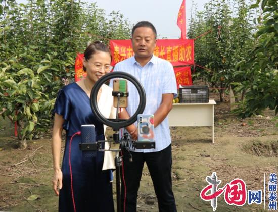 ̩�d��ɺ��患������� �~���l�塰�d������